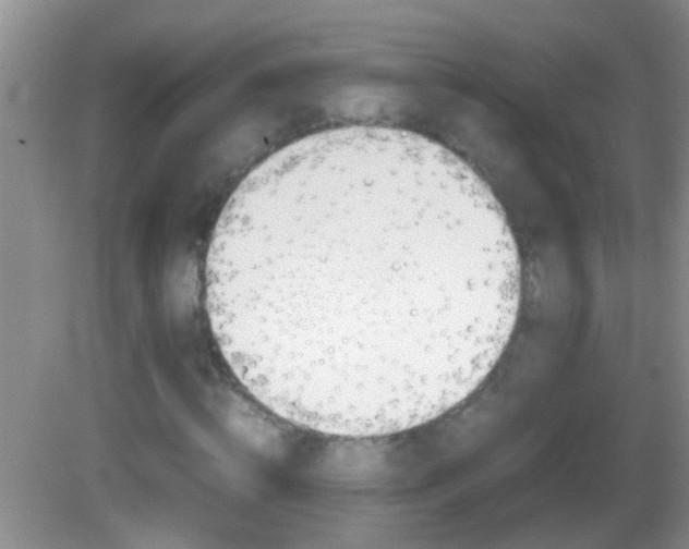 X0000082720820200701261027
