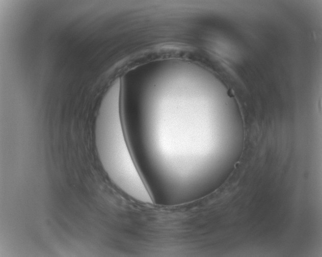 X0000082720821200701261027