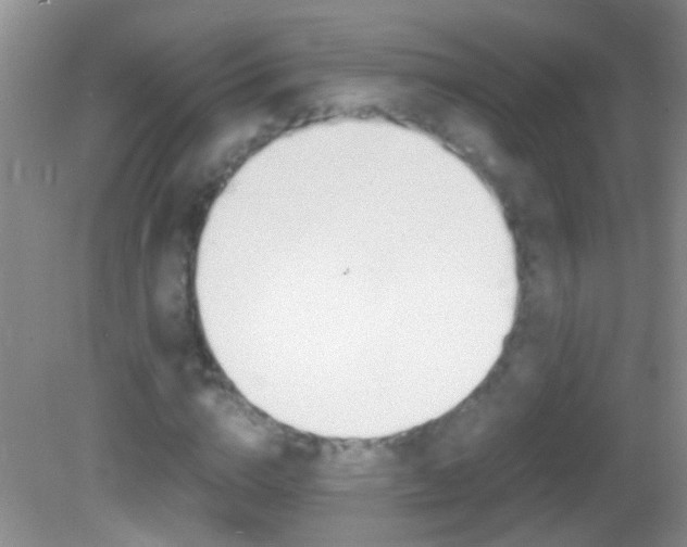 X0000082720824200701261027