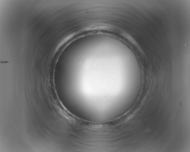 X0000082720826200701261027