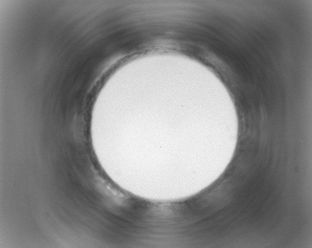 X0000082720828200701261027