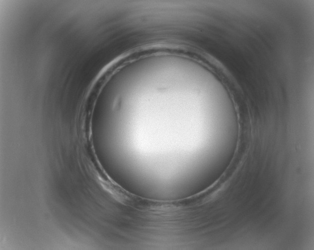 X0000082720830200701261027
