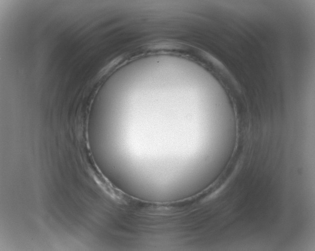 X0000082720833200701261027