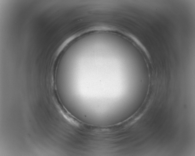 X0000082720837200701261027