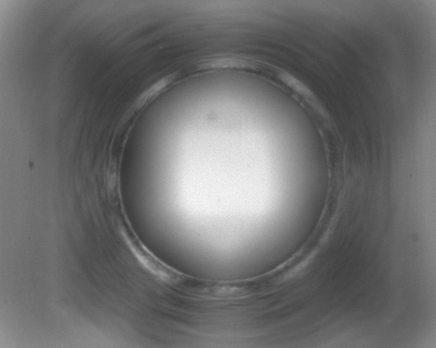 X0000082720841200701261028