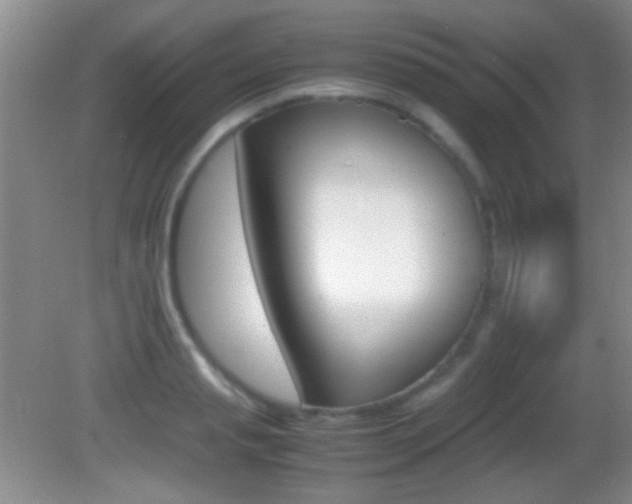X0000082720845200701261028