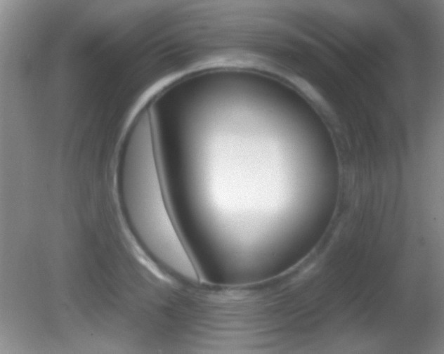 X0000082720846200701261028