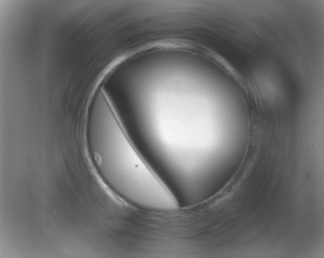 X0000082720853200701261028
