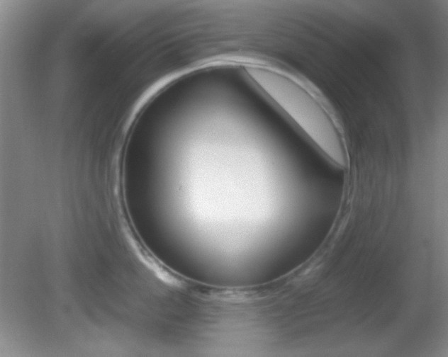 X0000082720862200701261028
