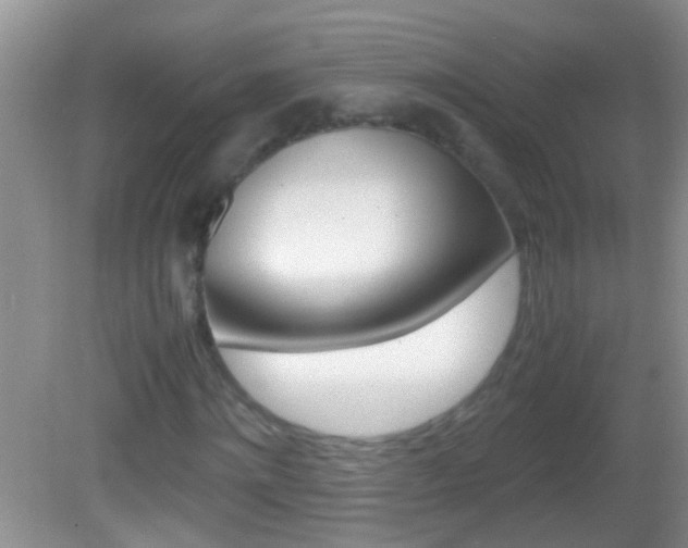 X0000082720868200701261027