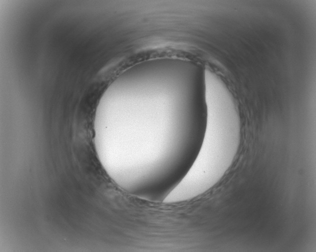 X0000082720869200701261027