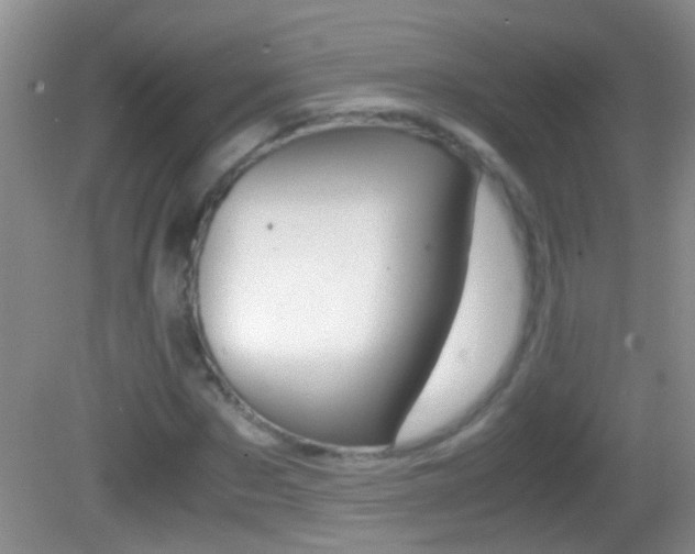 X0000082720873200701261027