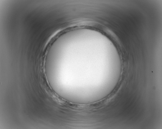 X0000082720875200701261027