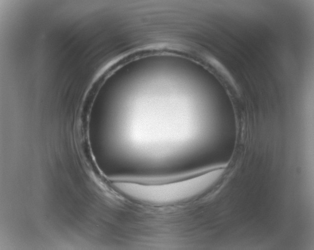 X0000082720876200701261027