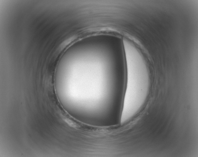 X0000082720881200701261027