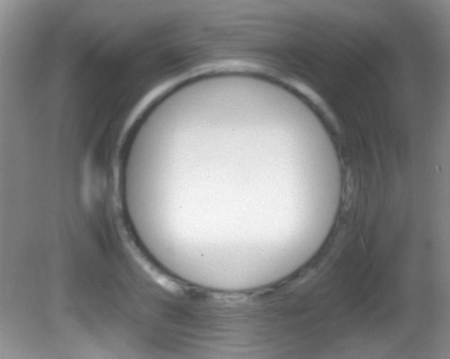 X0000082720886200701261027