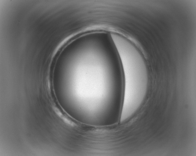 X0000082720888200701261027