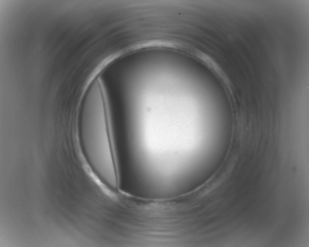 X0000082720898200701261027