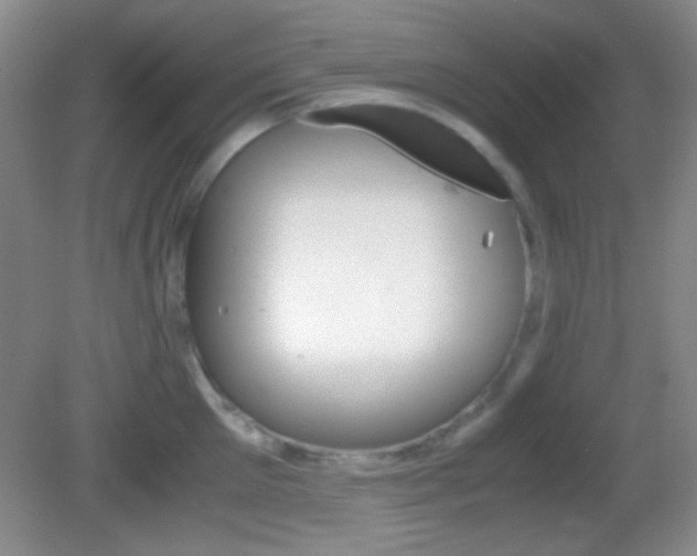 X0000082720905200701261026