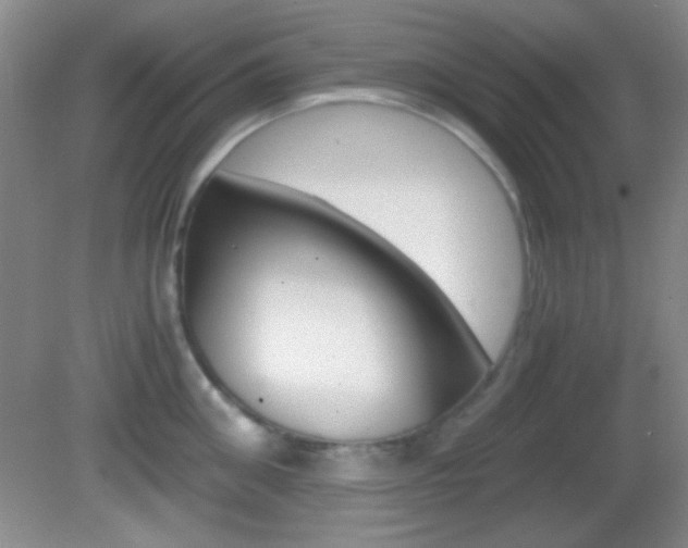 X0000082720906200701261026