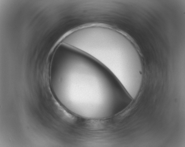 X0000082720910200701261026