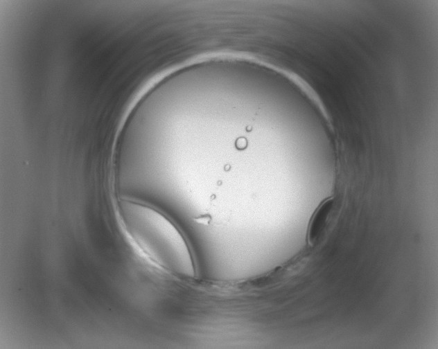X0000082720911200701261026