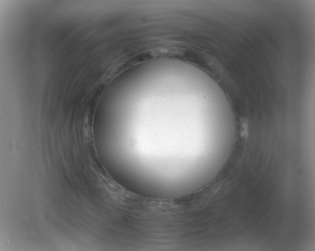 X0000082720915200701261026