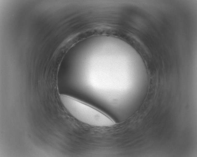 X0000082720919200701261026