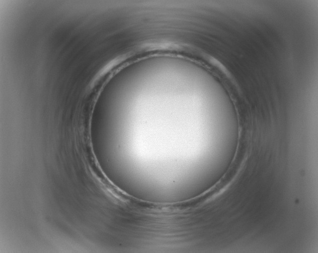 X0000082720922200701261026