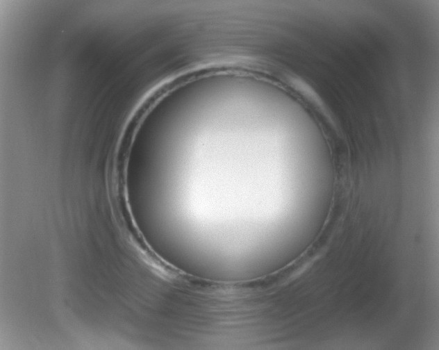 X0000082720924200701261026