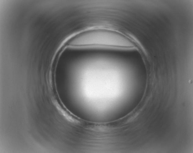 X0000082720932200701261026