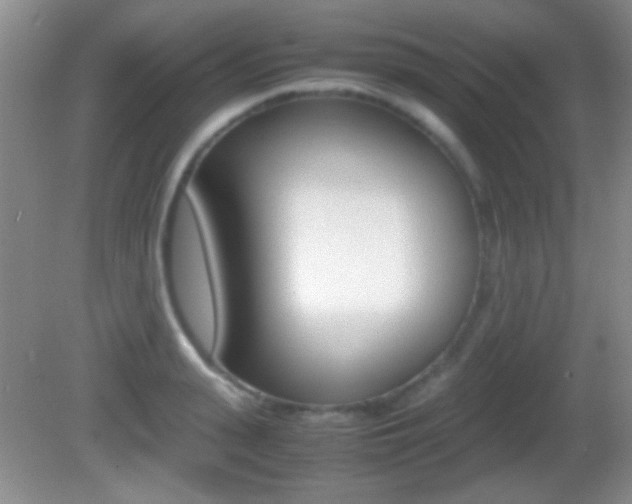 X0000082720943200701261026
