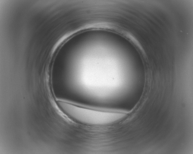 X0000082720944200701261026