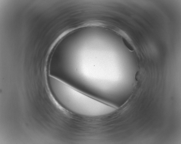 X0000082720947200701261026