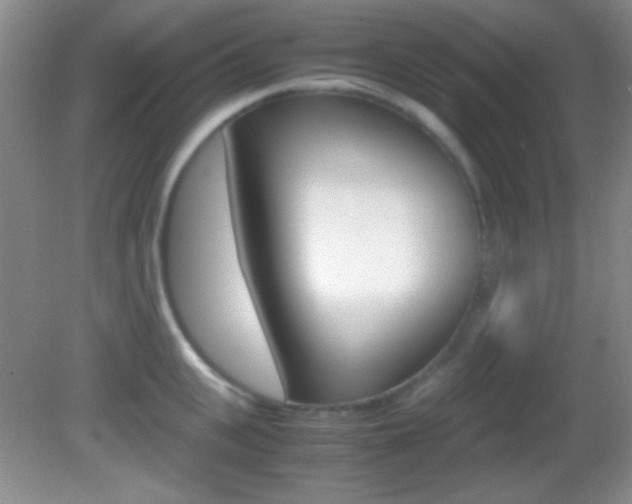 X0000082720951200701261026