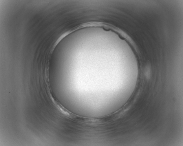 X0000082720953200701261026