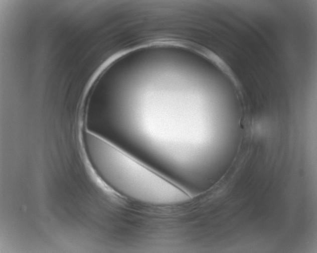 X0000082720955200701261026