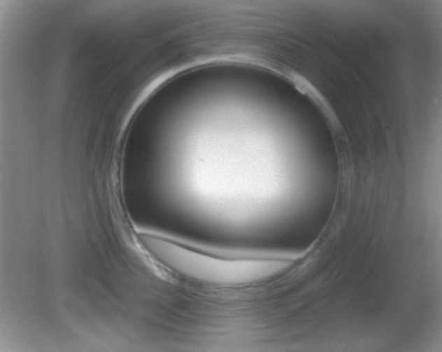 X0000082720956200701261026
