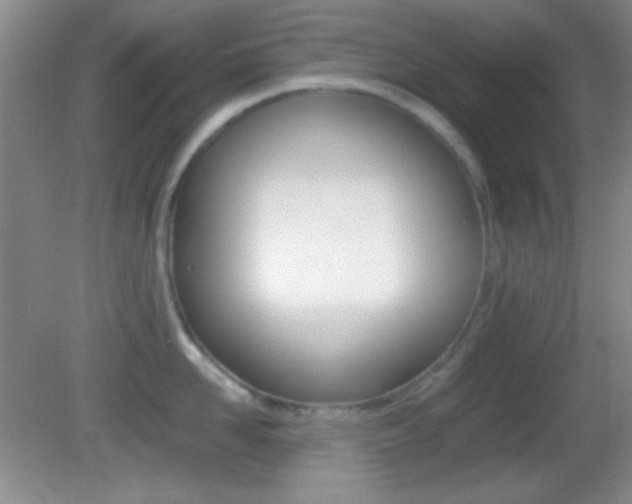 X0000082720958200701261026