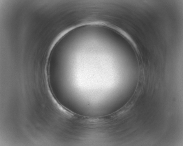 X0000082720959200701261026