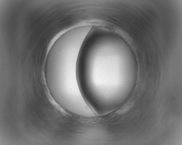 X0000082720960200701261026