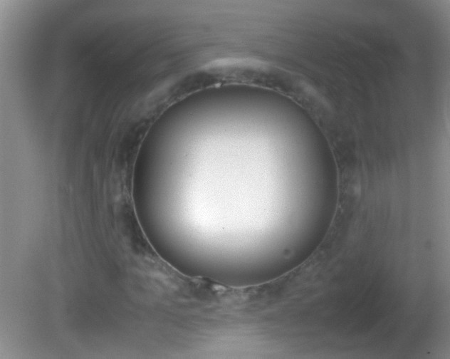 X0000082720965200701261025