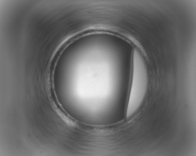 X0000082720976200701261025