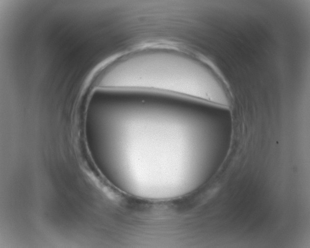 X0000082720979200701261025