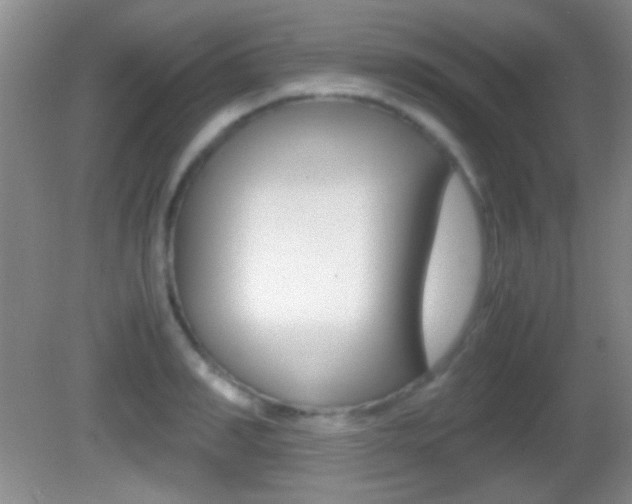 X0000082720990200701261025