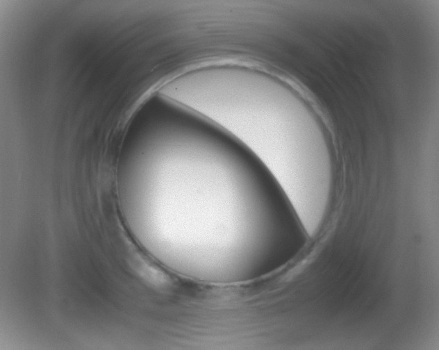 X0000082720993200701261025
