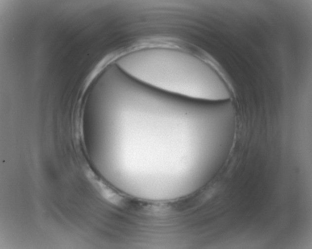 X0000082720994200701261025
