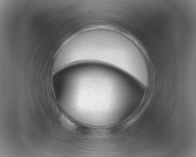 X0000082721001200701261025