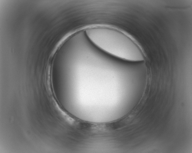 X0000082721006200701261025