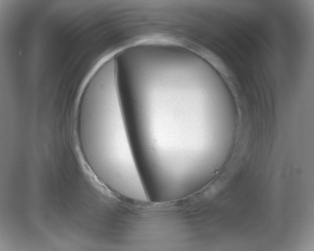 X0000082721008200701261025
